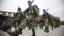Imagem de Covid-19: Forças Armadas com 57 militares infetados