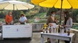 Imagem de Sabores e saberes na Semana Cultural da Ilha