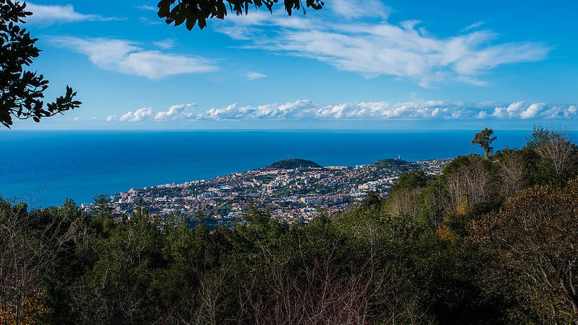 Imagem de Televisão Japonesa grava na Madeira