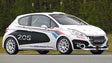 Imagem de João Ferreira adquiriu Peugeot 208 R2