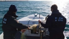Imagem de Colisão entre duas embarcações na Ria Formosa