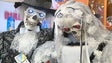 Imagem de Adereços do Halloween com muita procura (vídeo)