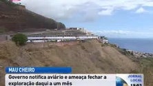 Aviário do Caniço tem dias para se adaptar ou encerra