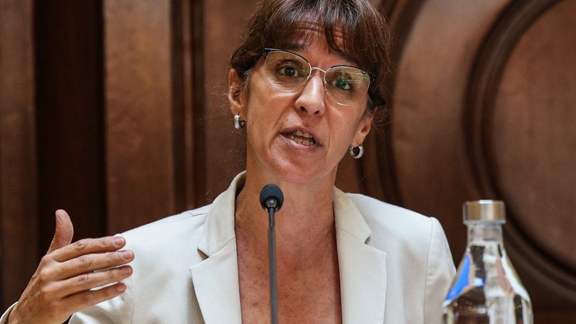 Imagem de Ministra da Defesa pede ao Tribunal de Contas auditoria à idD Portugal Defence