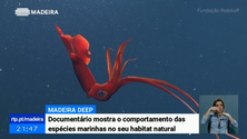 Imagem de Madeira Mar Profundo estreia esta sexta-feira na RTP (Vídeo)