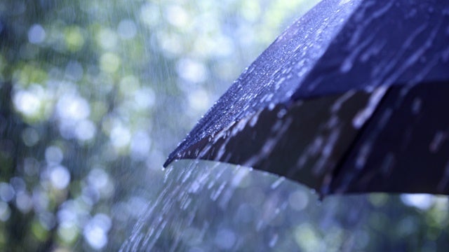 Imagem de Quarta de chuva