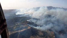Imagem de Madeira pronta para enviar 30 operacionais para Gran Canaria