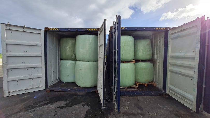 Imagem de Primeiros contentores com 46 toneladas de erva a caminho da Madeira