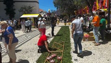 Imagem de Cortejo com 1.700 figurantes divididos por treze grupos (vídeo)