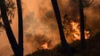 Imagem de Bombeiros combatiam sete fogos ativos em Portugal