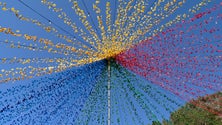 Imagem de Festa da Alegria levou centenas ao Montado da Esperança (vídeo)