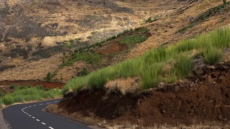 Imagem de Encerramento de estrada florestal Eira do Serrado /Areeiro
