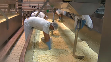 Imagem de Queijo de São Jorge está a vender mais (Vídeo)