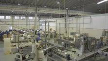Imagem de Calheta teme privatização da fábrica de conservas (Vídeo)