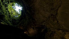 Imagem de Algar do Carvão vai ter um centro interpretativo (Vídeo)