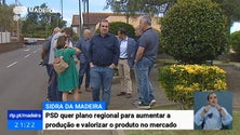 Imagem de PSD quer um Plano de Ação Regional para o cultivo do pero, da pera e da maçã (Vídeo)