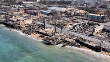 Imagem de Maior distribuidora de eletricidade do Havai acusada de causar incêndios