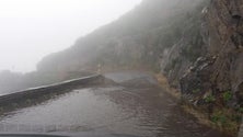 Imagem de Há mais de 60 anos que não chovia tanto nas serras do Funchal