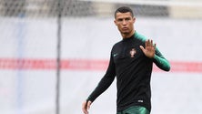 Imagem de Selecionador sueco afasta plano anti-Ronaldo mas admite necessidade de vencer