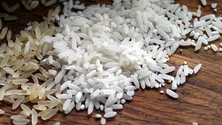 Imagem de Subida do preço do arroz sem impacto imediato em Portugal
