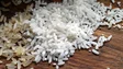 Imagem de Subida do preço do arroz sem impacto imediato em Portugal