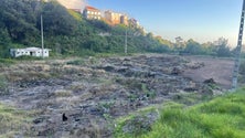 Antigo campo de futebol do Campanário serve de vazadouro (áudio)