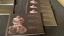 Imagem de David Francisco apresentou livro sobre o património arqueológico (áudio)