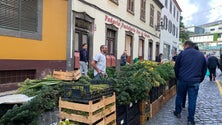 Hoje há Noite do Mercado no Funchal (áudio)