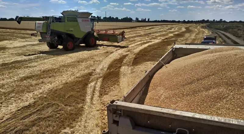 Investigação diz que Rússia estará a contrabandear cereais ucranianos