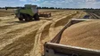 Investigação diz que Rússia estará a contrabandear cereais ucranianos
