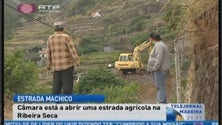 Imagem de Estrada agrícola em Machico gera polémica (Vídeo)