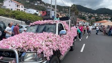 Imagem de Cortejo das beladonas regressa à freguesia do Campanário (vídeo)