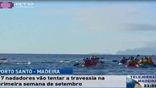 Imagem de Na primeira semana de setembro, 17 atletas vão tentar fazer a travessia entre o Porto Santo e a Madeira a nadar