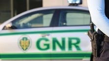 Imagem de GNR deteve 51 pessoas em crimes ambientais