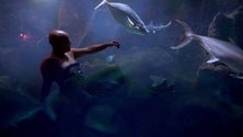 Imagem de «Super Natural» estreia em Berlim (áudio)