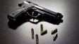 Imagem de Apreensão de armas cai para metade entre 2015 e 2016