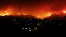 Imagem de Incêndio de Tenerife continua descontrolado