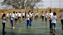 Imagem de Profissionais de Educação Física defendem mais equilíbrio nos currículos