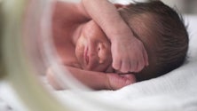Imagem de Nascem 20 bebés prematuros por dia em Portugal