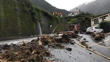 Imagem de O mau tempo provocou o condicionamento e encerramento de 15 estradas (áudio)