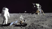 Imagem de Cientistas conseguiram cultivar plantas em solo lunar