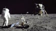 Imagem de Cientistas conseguiram cultivar plantas em solo lunar
