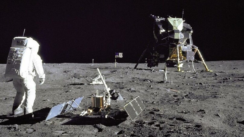 Imagem de Cientistas conseguiram cultivar plantas em solo lunar