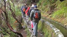 Imagem de Federação de Campismo e Montanhismo diz que é preciso reduzir o número de pessoas em alguns trilhos da Madeira
