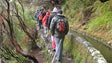 Imagem de Federação de Campismo e Montanhismo diz que é preciso reduzir o número de pessoas em alguns trilhos da Madeira