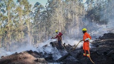 Imagem de Incêndio na Camacha entrou em fase de rescaldo