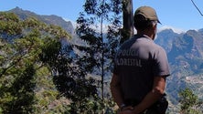 Imagem de Identificado autor de despejo ilegal de resíduos na Calheta