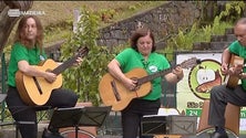 Imagem de Ainda não é este ano que fica pronta a sidraria de São Roque do Faial (vídeo)