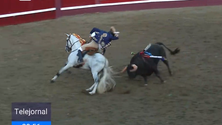 Imagem de Forcado ferido na corrida das Sanjoaninas (Vídeo)