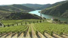 Imagem de Milhares de agricultores exigem que Espanha encerre o envio de água para Portugal